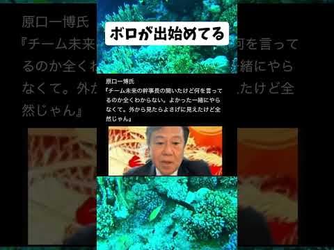 #政治 #チームみらい