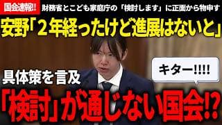 【国会速報!!】財務省/子ども家庭庁「検討します」安野「前から検討してて、２年経ったけど進展ないと」さらに一歩具体策を言及し、検討が通じない国会をつくる安野氏【安野貴博/チームみらい/高市早苗】
