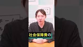 社会保険料引き下げ、ベーシックインカム導入。チームみらい