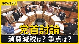【news23党首討論】衆議院選挙 1月27日公示を前に各党党首が討論　消費減税は？選挙の争点は？【選挙の日、そのまえに。】
