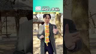 プッシュ型支援