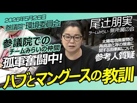 尾辻朋実【無所属】環境委員会 参議院 / チームみらい・無所属の会 / 2026年5月26日　#ファンメイド #チームみらい #安野たかひろ