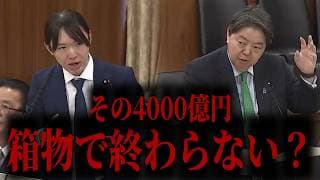 【追及】安野貴博が懸念『4,000億円がハコモノ化しない保証はあるのか？』 #チームみらい #安野たかひろ #総務委員会