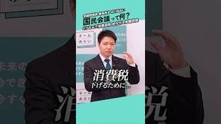 国民会議って何？消費減税の行方は？ #チームみらい