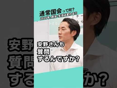 【解説】通常国会って何？2026年、政治・生活は変わるの?!【チームみらい】