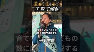 【チームみらい】子育て減税とは　　須田えいたろうさん