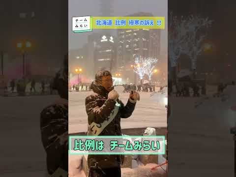 #チームみらい #安野たかひろ #稲原むねよし #比例はみらい