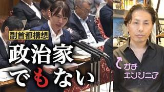 【チームみらい】経歴30年外資系エンジニアが苦言｜安野貴博が副首都法案に反対できなった未熟さ