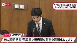 5/26 #チームみらい 林たくみ議員 農林水産委員会｜米の流通把握 在庫量や販売量の報告を義務化について／
