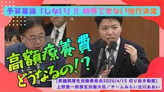 【高額療養費どうなる？】古川あおい議員（チームみらい）政府が進める強引な2段階引き上げ！【衆議院厚生労働委員会2026/4/15】国会中継切り抜き