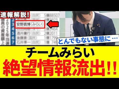 【チームみらい】チームみらい？聞いたことない党だね www 青ヶ島で徹底調査！！【解説・見解】