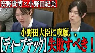 【安野貴博】小野田紀美大臣へ嘆願、、AIインタビューから生の声を～世界中の天才達を日本のディープテックに集める戦術とは!? 安野が国会で切り込む！【国会/チームみらい】
