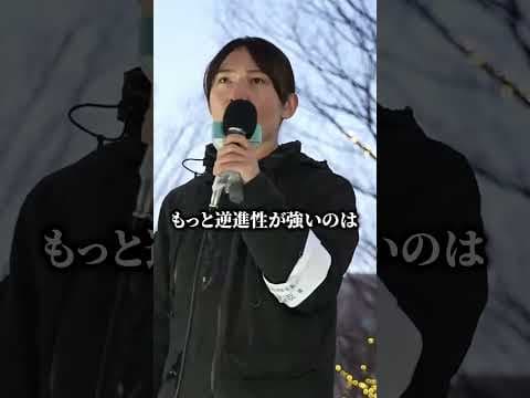 チームみらいが掲げるマニフェスト