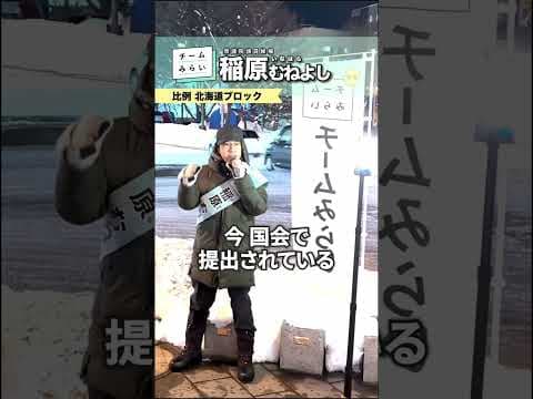 政治資金見える化システム #チームみらい #稲原むねよし #衆院選2026