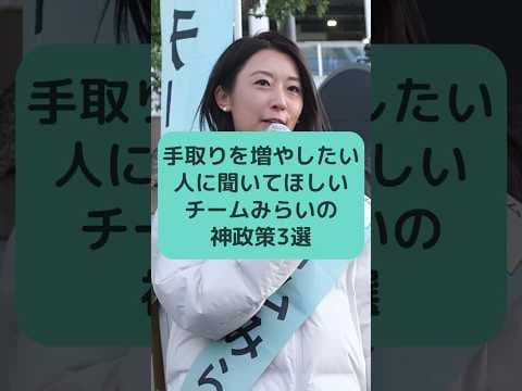 手取りを増やしたい人に聞いてほしい チームみらいの神政策3選 #チームみらい