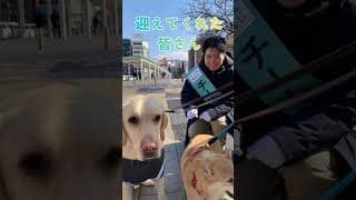 1月九州全県まわりました　#shorts #チームみらい #九州