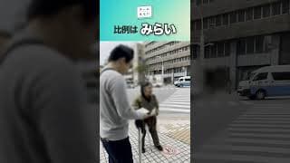 声を聞かせてください　#shrots #チームみらい #町の声