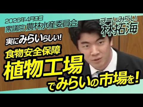 安定した食料を！【チームみらい】林 拓海　衆議院　農林水産委員会 / 2026年4月9日　#ファンメイド #チームみらい #安野たかひろ