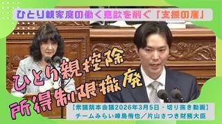 【衆議院本会議2026/3/5】峰島侑也議員（チームみらい）ひとり親控除の所得制限撤廃求める｜国会中継切り抜き