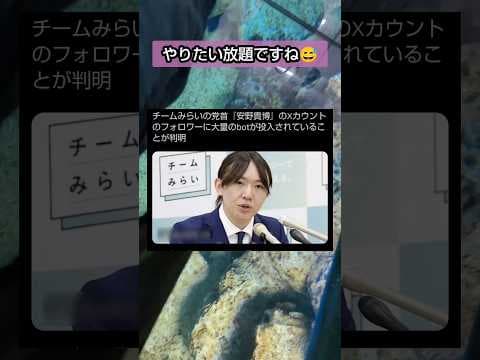 不正しか出てこんな#自民党 #チームみらい #移民