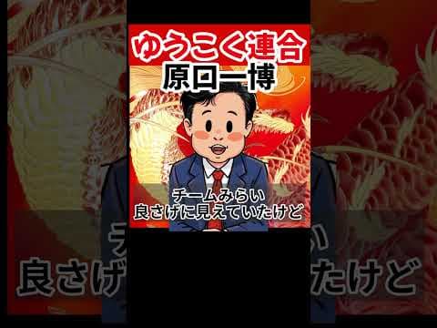 チームみらいの幹事長の話しは全くわからない。外から見たら良さげに見えたけど… #ゆうこく連合 #原口一博 #佐賀県 #チームみらい #ショート動画 #ショート
