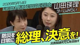 防災を日常に!山田瑛理【チームみらい】衆議院 災害対策特別委員会 / 2026年5月14日 #ファンメイド #チームみらい #安野たかひろ