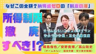 所得制限が悪いのか?働き損の「崖」をなくす、なめらかな税・社会保障制度|チームみらい 2026年プラン