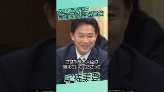 21年ぶり!【チームみらい】宇佐美登 外務委員会/ 本会議 / 2026年3月6日 #ファンメイド #チームみらい #安野たかひろ #shorts