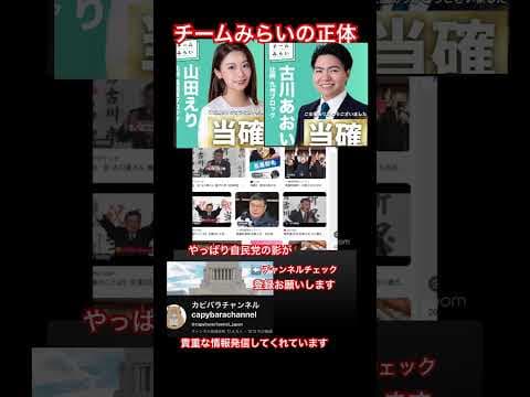 チームみらいは危険⚠️ #チームみらい #ほぼ自民党