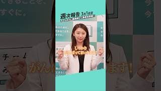 【続々と!!】チームみらい、委員会質疑に励んでいます!