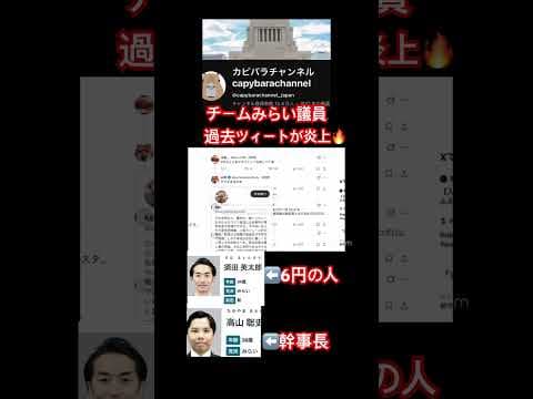 チームみらい議員ツィート炎上。 #チームみらい #須田英太郎