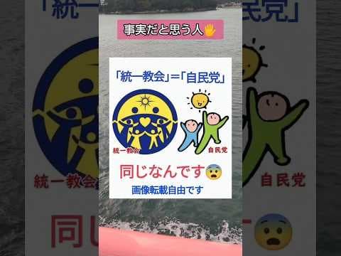 #自民党 #岩屋毅 #小池百合子 #チームみらい