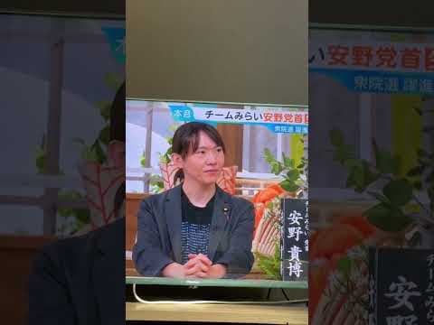 ひるおび チームみらい 安野党首生直撃1 #チームみらい
