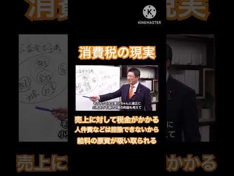 消費税って。 #自民党 #チームみらい #れいわ新選組 #中道改革連合 #国民民主党 #日本維新の会 #消費税減税