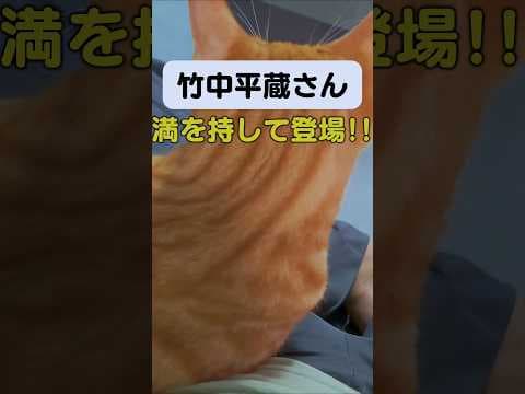 竹中平蔵さん、遅れて登場! #政治 #チームみらい