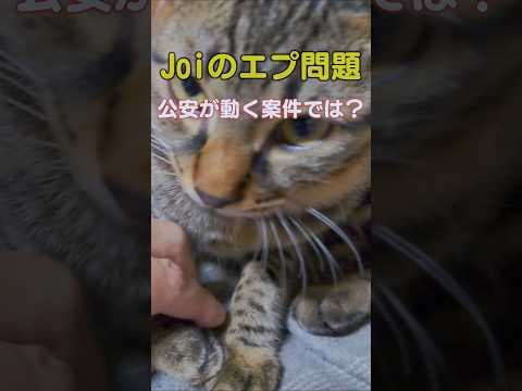 政府は説明する責任が有る。 #政治 #チームみらい