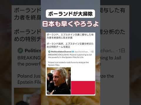 なんとかなりませんか? #政治 #チームみらい